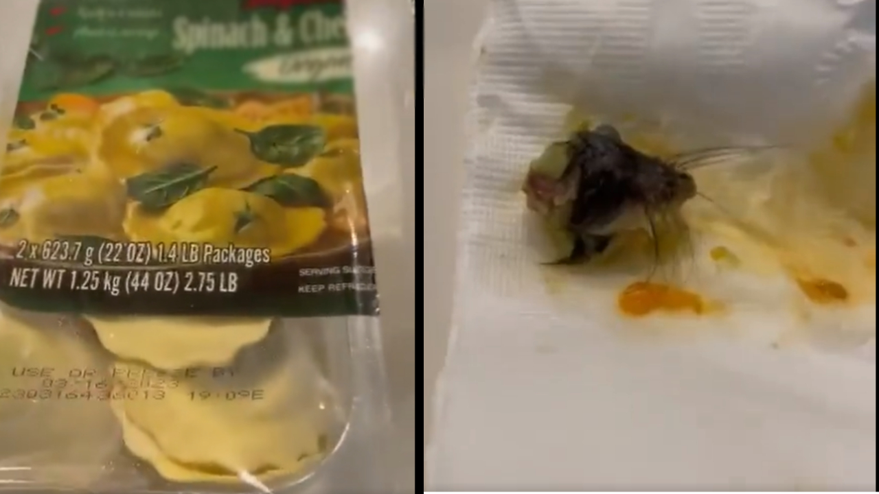 Asegura en este video, que encontró la cabeza de un ratón en un paquete de pasta de Costco