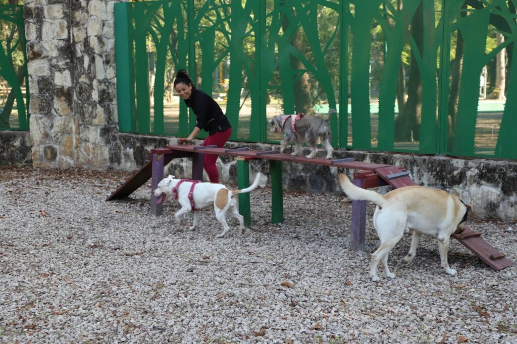 Mejoran corral para perritos dentro del circuito recreativo y deportivo Tuchtlan