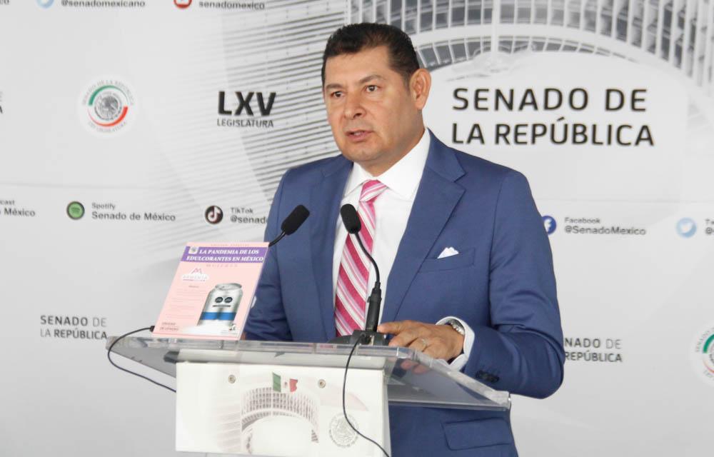 Alejandro Armenta, senador