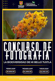 Ayuntamiento tuxtleco invita a participar en concurso de  fotografía