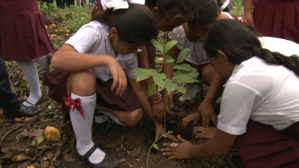 Grupos ambientalistas realizan acciones de conservación y reforestación con escuelas de Huehuetán.