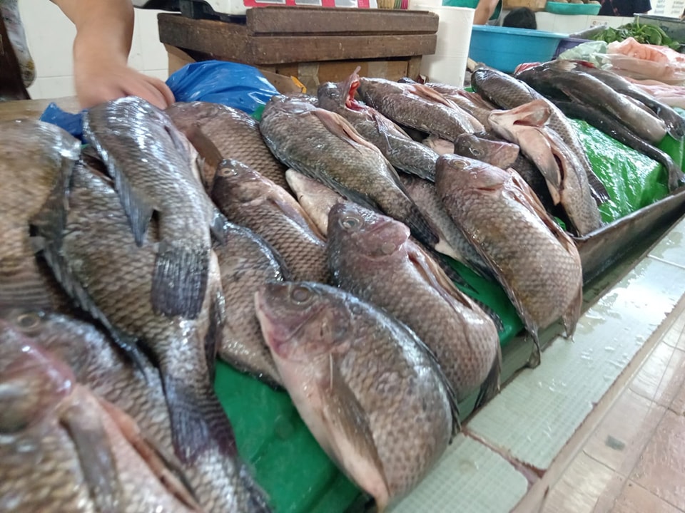 Se Registra Aumento En La Venta De Pescado En El Mercado Juan Sabines.