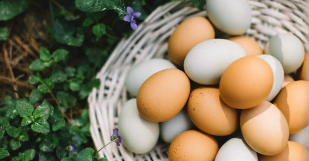 Beneficios del huevo orgánico