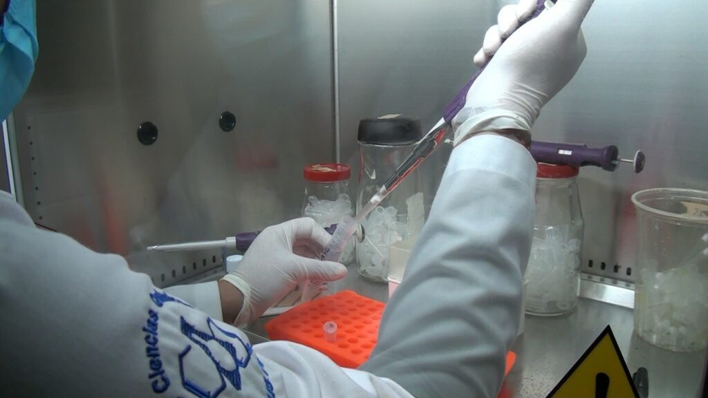 Pospandemia, laboratorio de la unach retoma detecciones de VPH, VIH y cáncer.