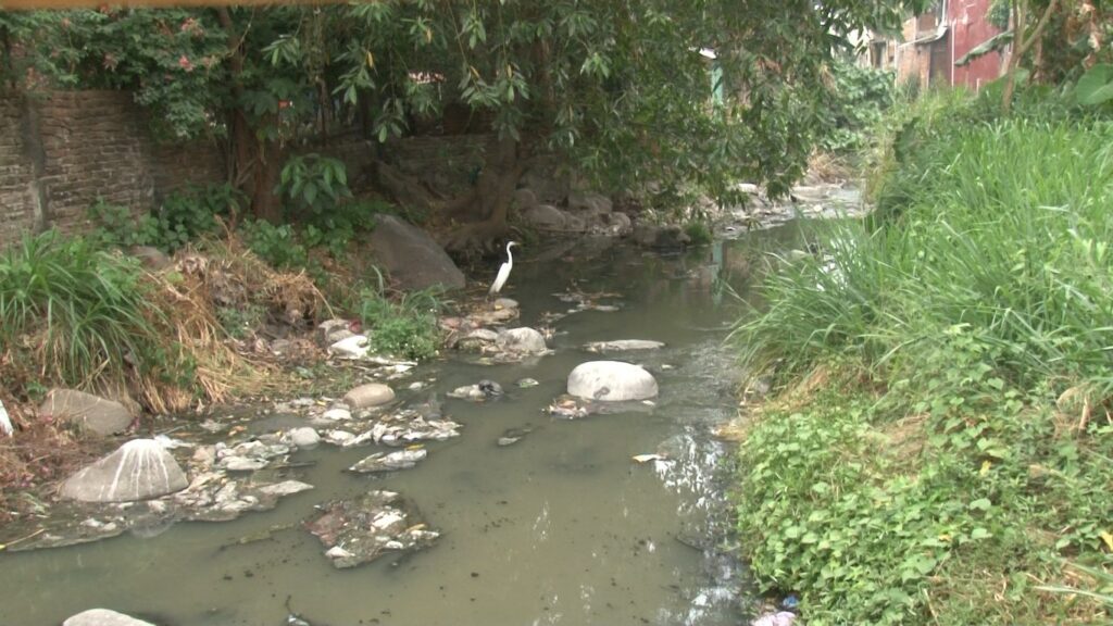 Residuos sólidos y aguas negras los principales focos de contaminación en ríos.